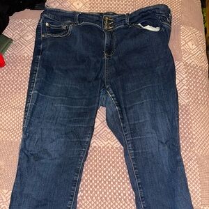 Torrid Blue Jeggings with Classic Denim Look